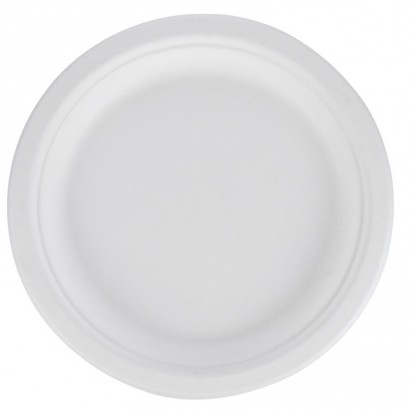 Talíř TŘTINA 260/23mm bílý
